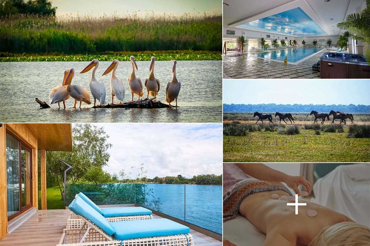 Donaudelta | Lebada Luxury Resort & SPA